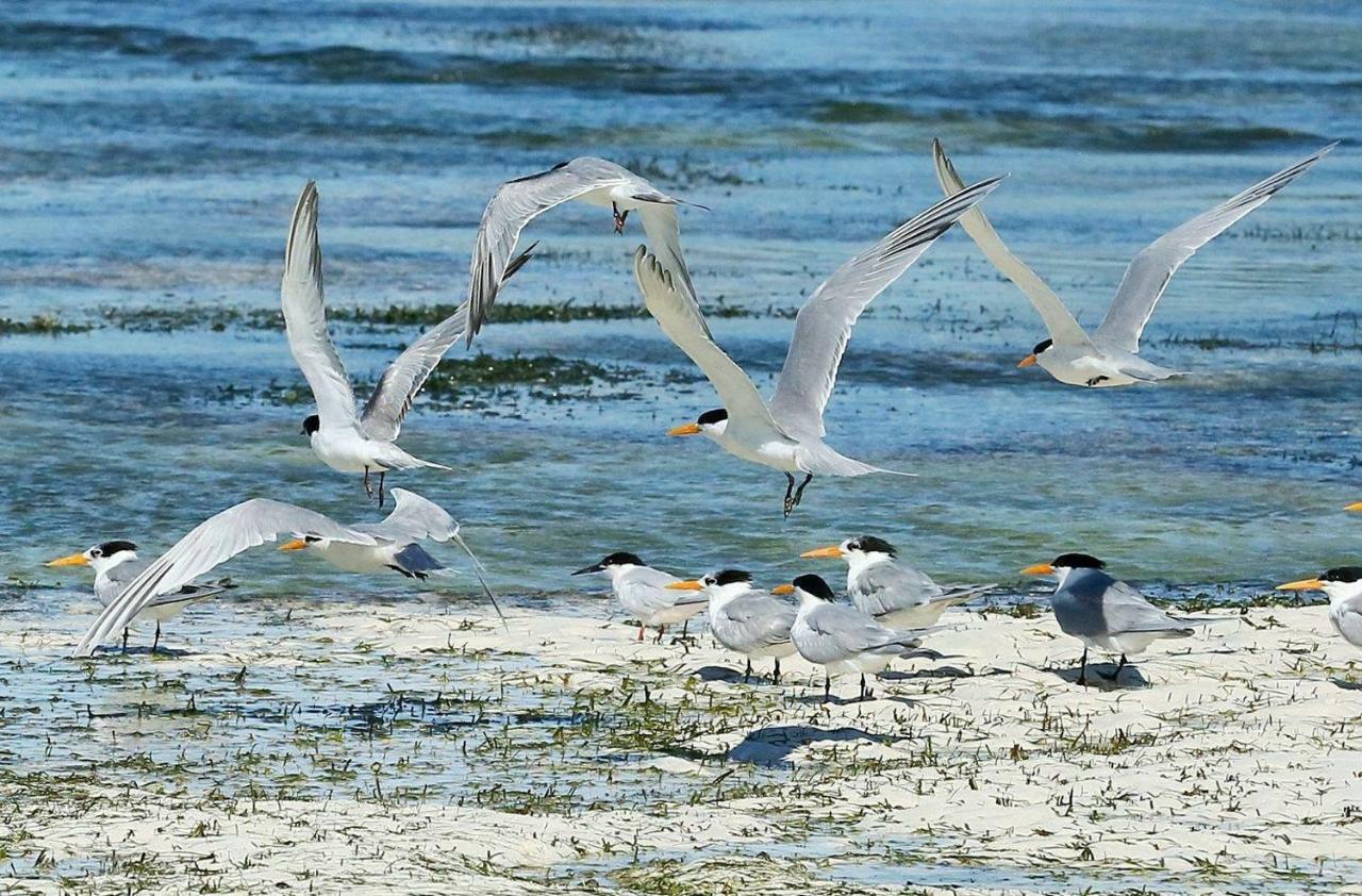 Rafiki Village Watamu Luaran gambar