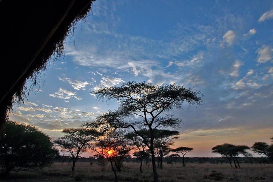 Rafiki Village Watamu Luaran gambar